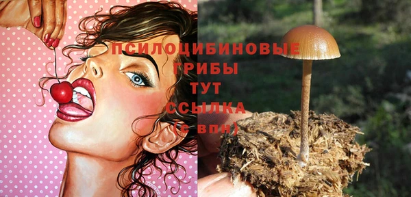 mdma Бородино