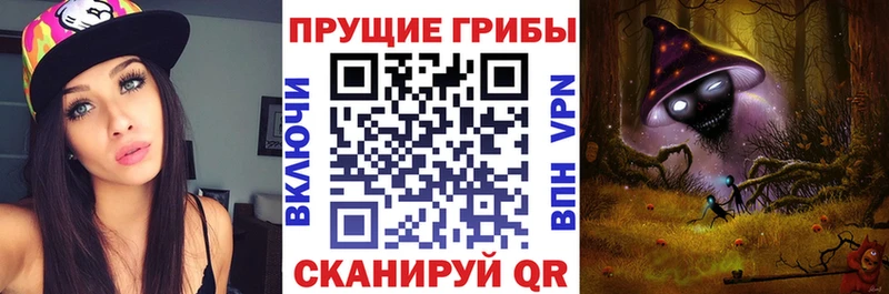Псилоцибиновые грибы Magic Shrooms  hydra ссылка  Мурино  продажа наркотиков 